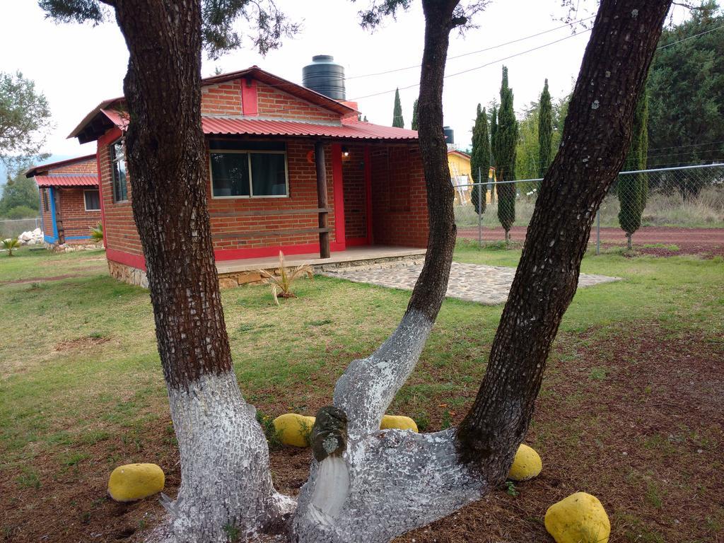 Cabanas Gotcha Huasca Hotel Huasca de Ocampo Zewnętrze zdjęcie